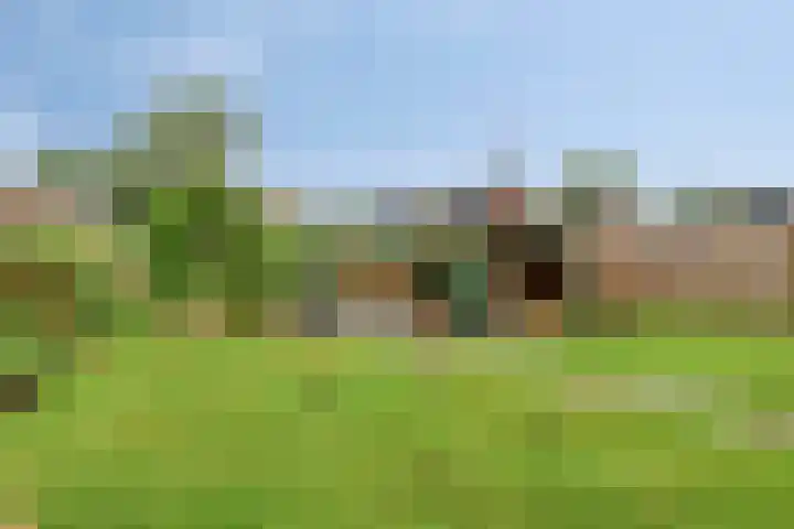 De Hoek 17 Gasteren thumbnail 4