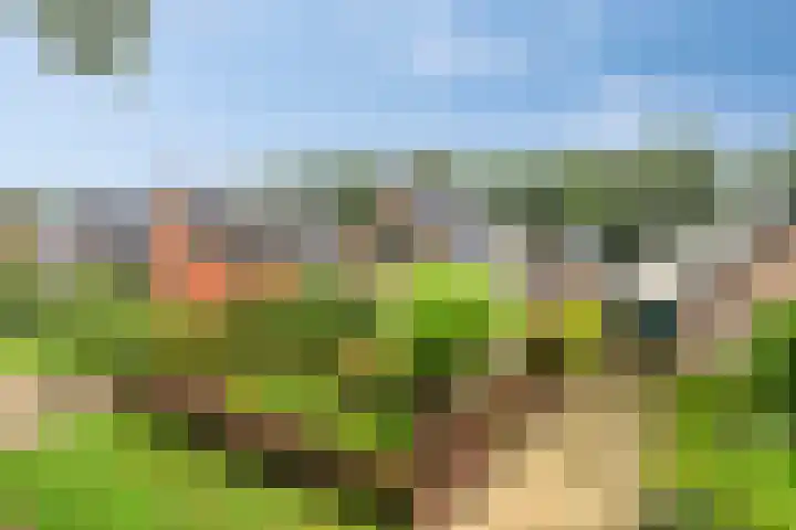 De Hoek 17 Gasteren thumbnail 5