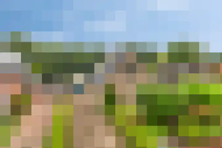 De Hoek 17 Gasteren thumbnail 6