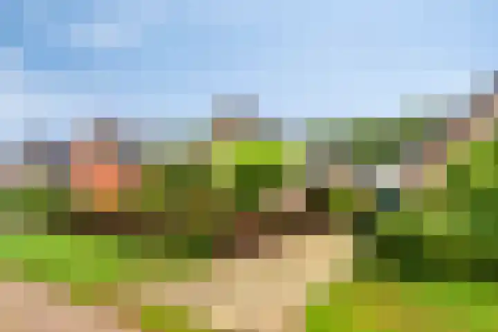 De Hoek 17 Gasteren thumbnail 9