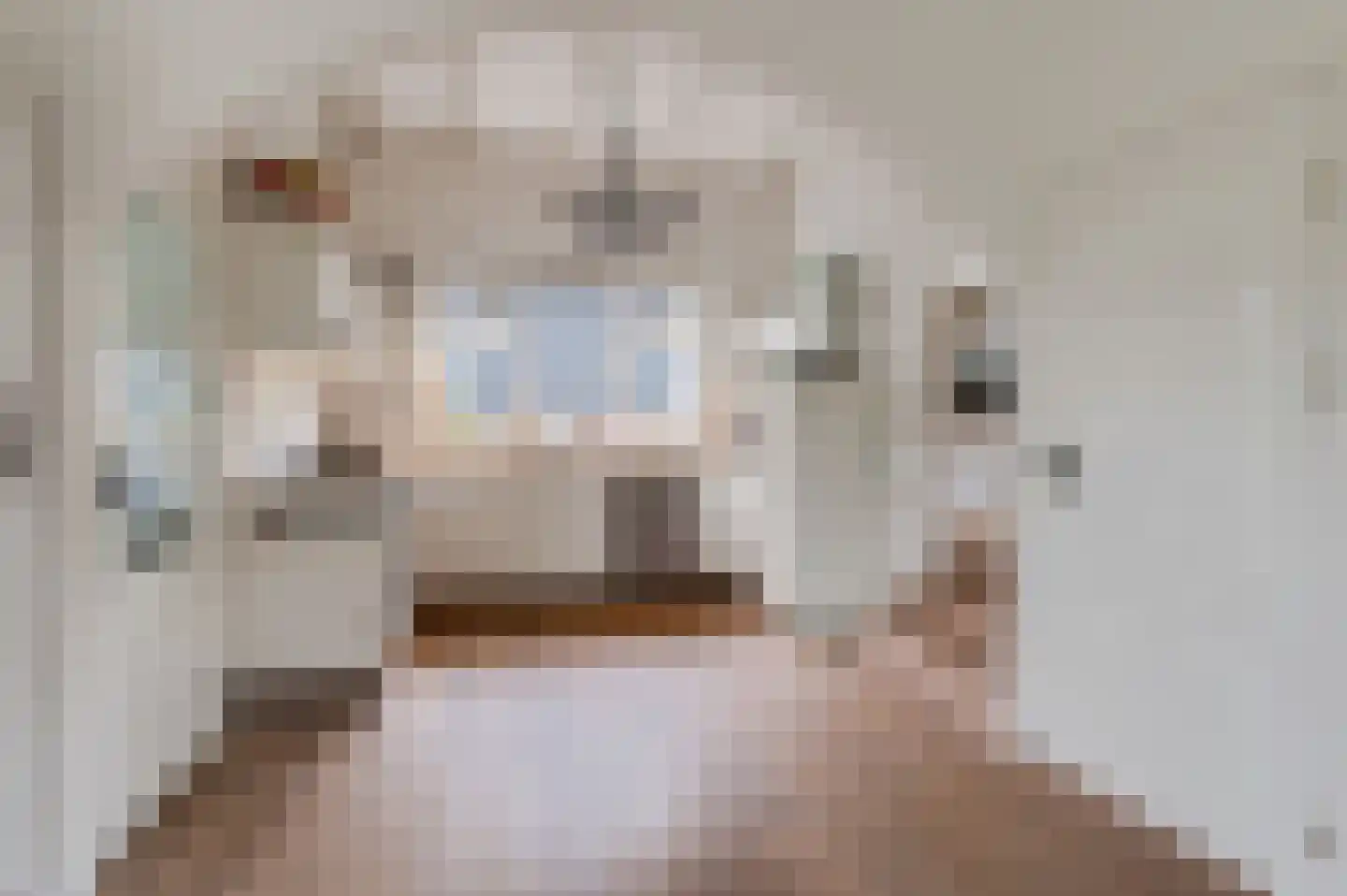 De Hoek 2 Zoelmond thumbnail 15