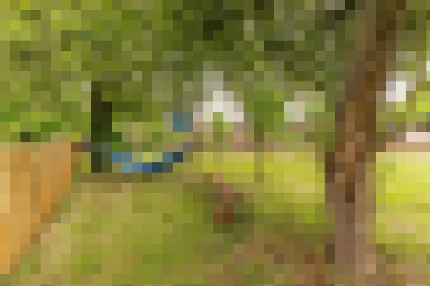 De Hoek 2 Zoelmond thumbnail 26
