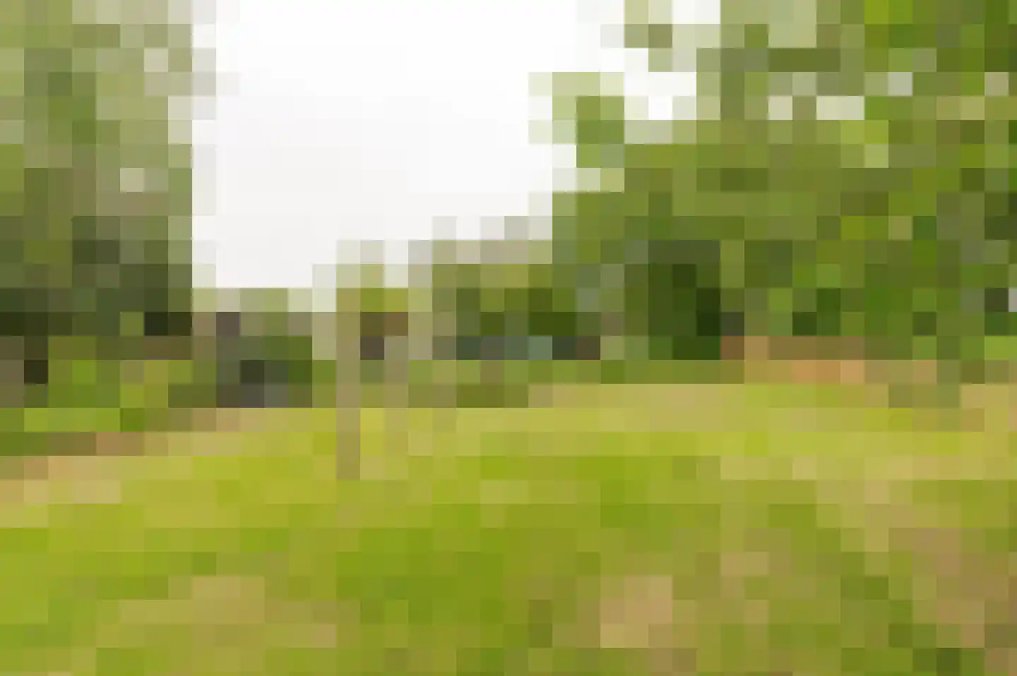 De Hoek 2 Zoelmond thumbnail 28