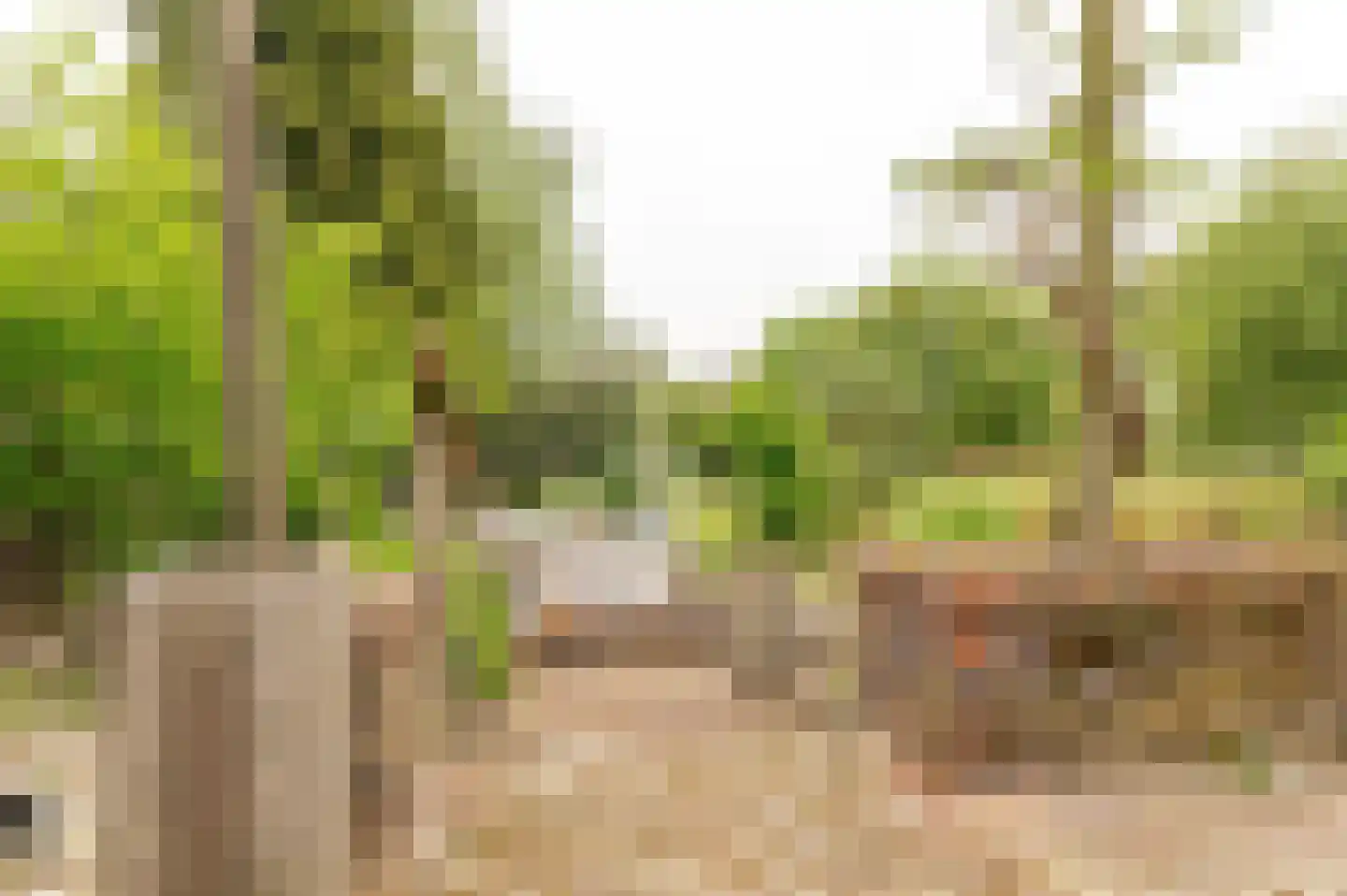 De Hoek 2 Zoelmond thumbnail 32