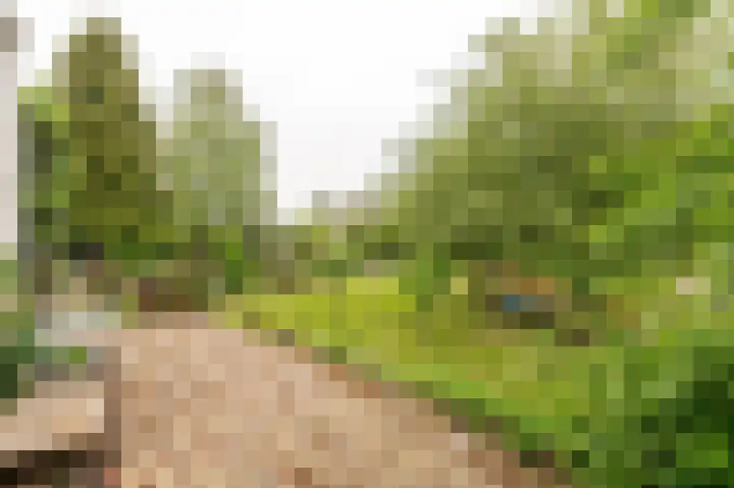 De Hoek 2 Zoelmond thumbnail 33
