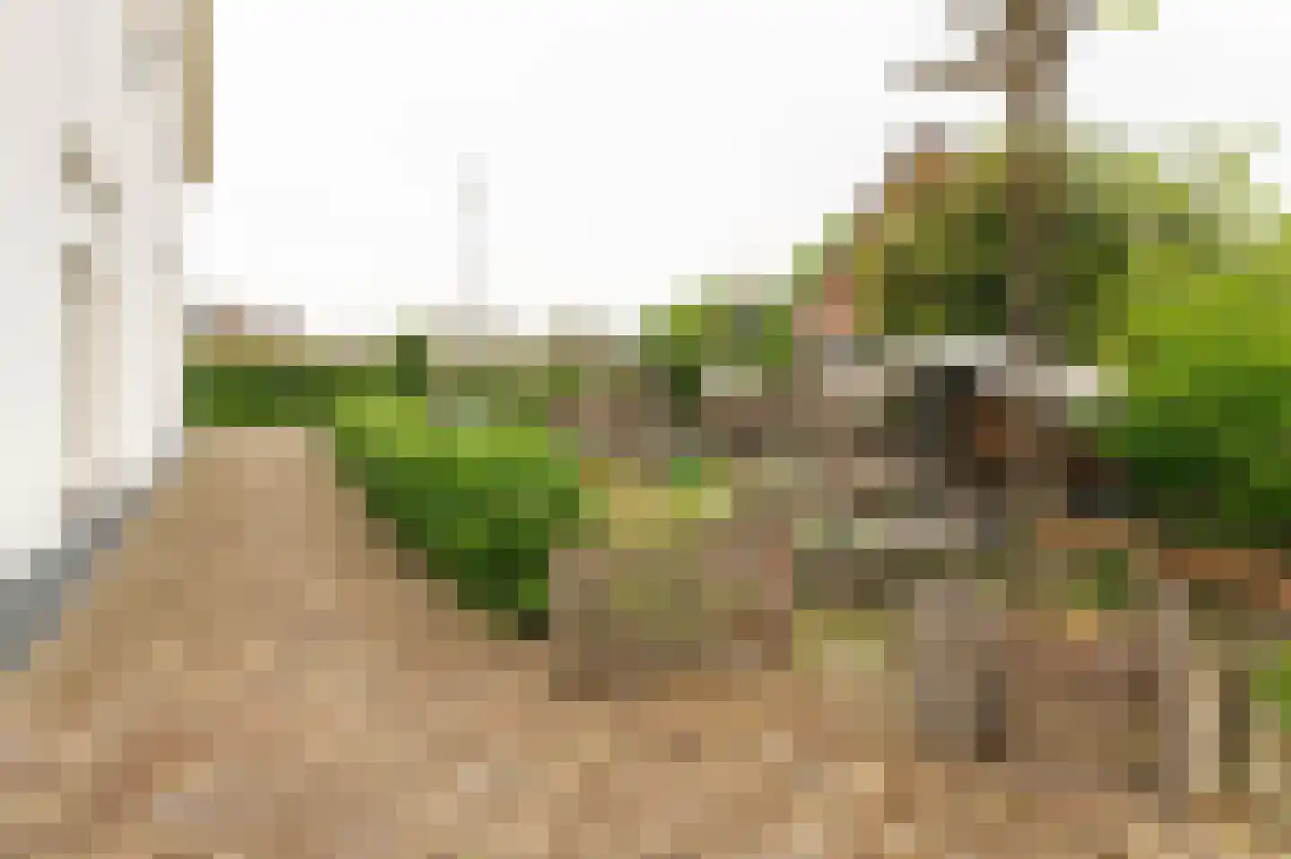 De Hoek 2 Zoelmond thumbnail 34