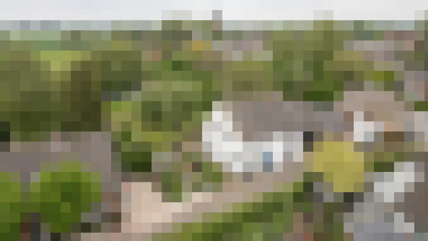 De Hoek 2 Zoelmond thumbnail 59