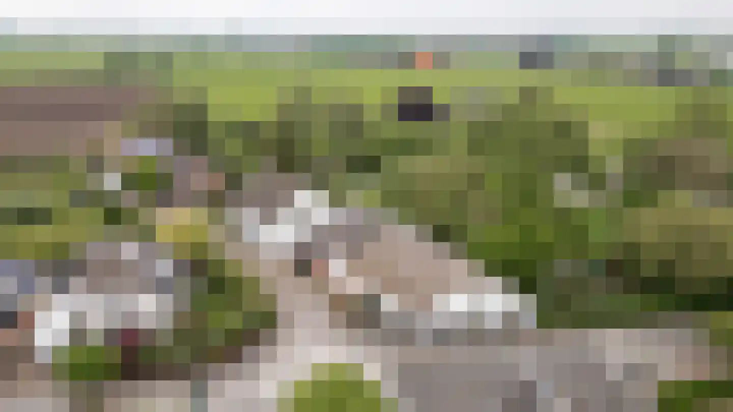 De Hoek 2 Zoelmond thumbnail 60