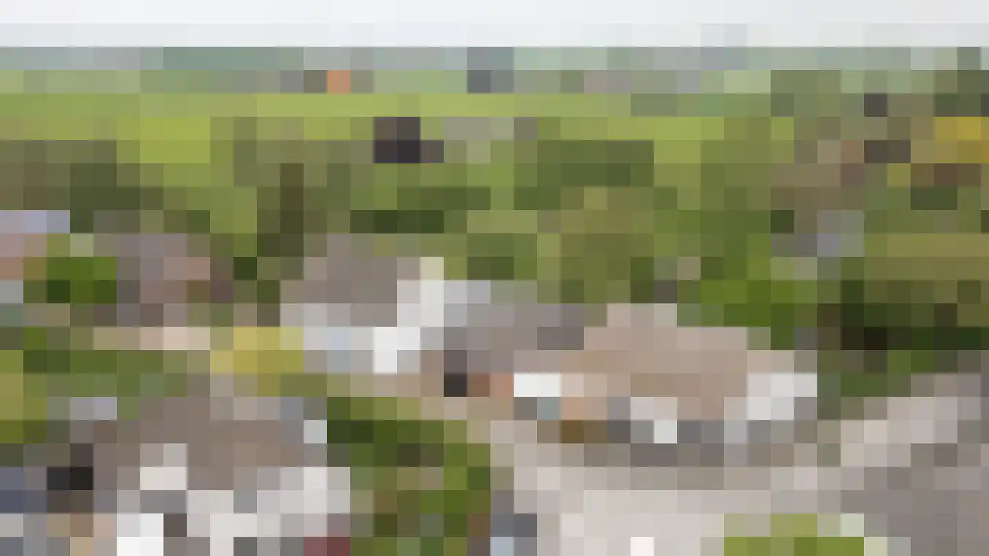 De Hoek 2 Zoelmond thumbnail 61
