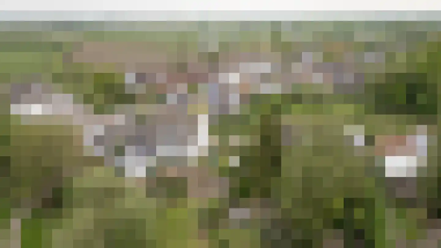 De Hoek 2 Zoelmond thumbnail 62