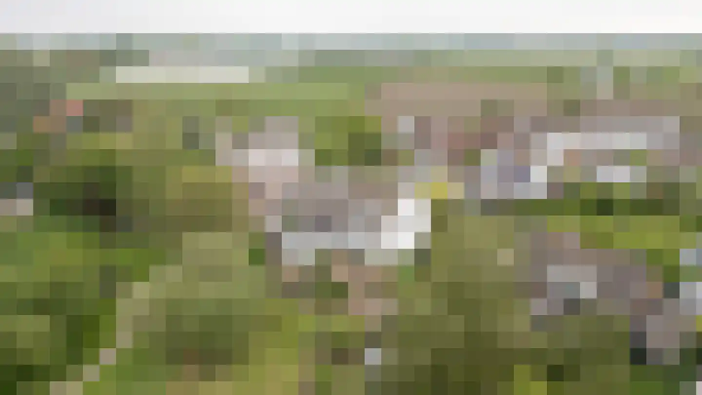 De Hoek 2 Zoelmond thumbnail 63