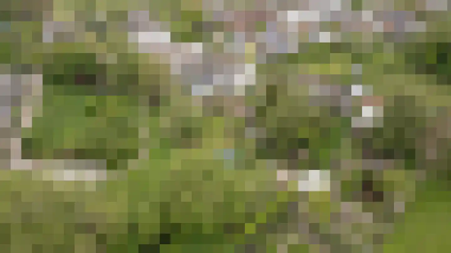 De Hoek 2 Zoelmond thumbnail 64