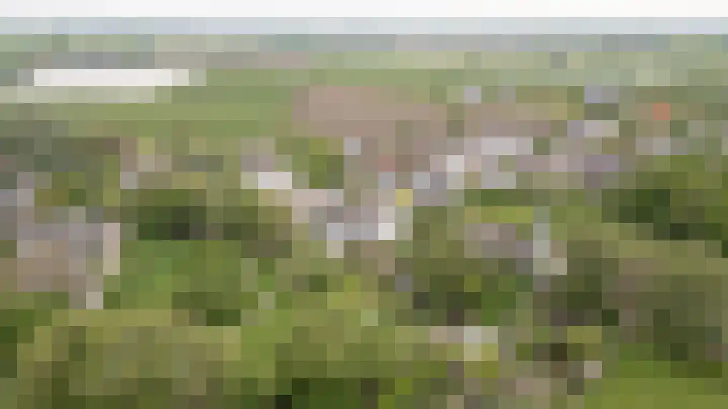 De Hoek 2 Zoelmond thumbnail 65