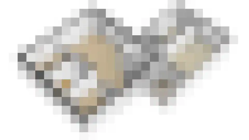De Hoek 2 Zoelmond thumbnail 67