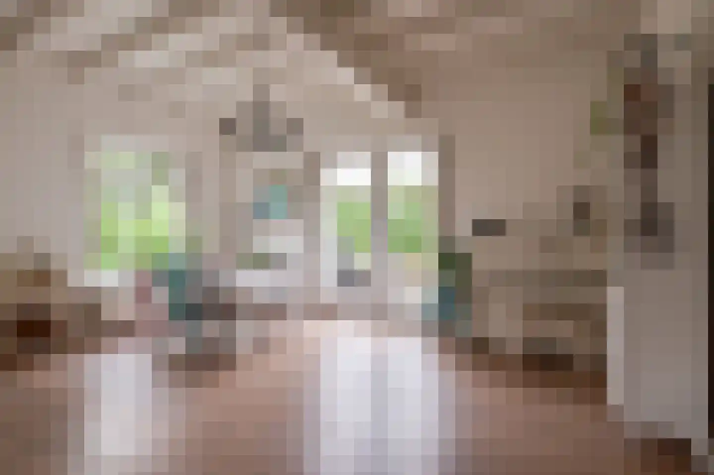 De Hoek 2 Zoelmond thumbnail 8