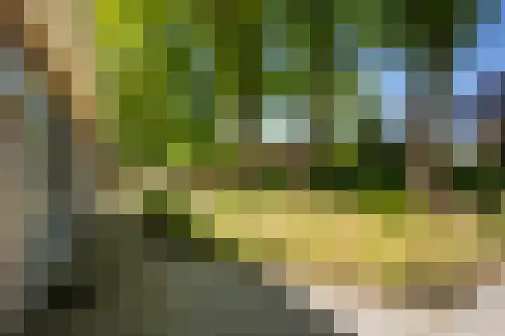 De Hoek 29 Erm thumbnail 10