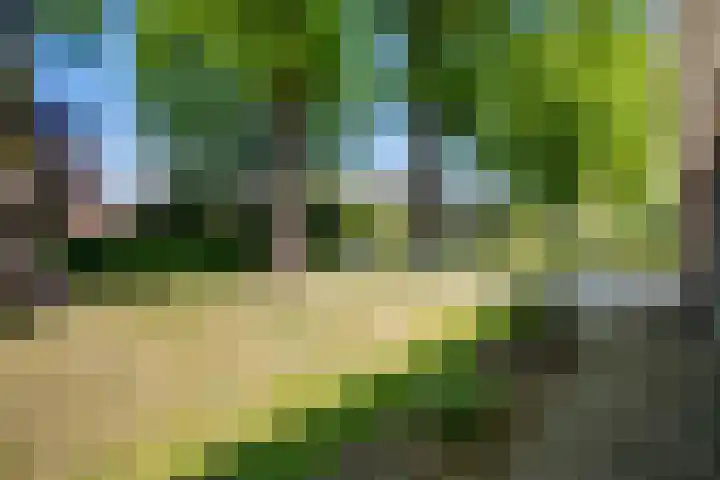 De Hoek 29 Erm thumbnail 11