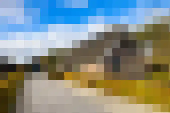 De Hoek 29 Erm thumbnail 14