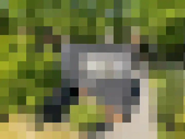 De Hoek 29 Erm foto 2