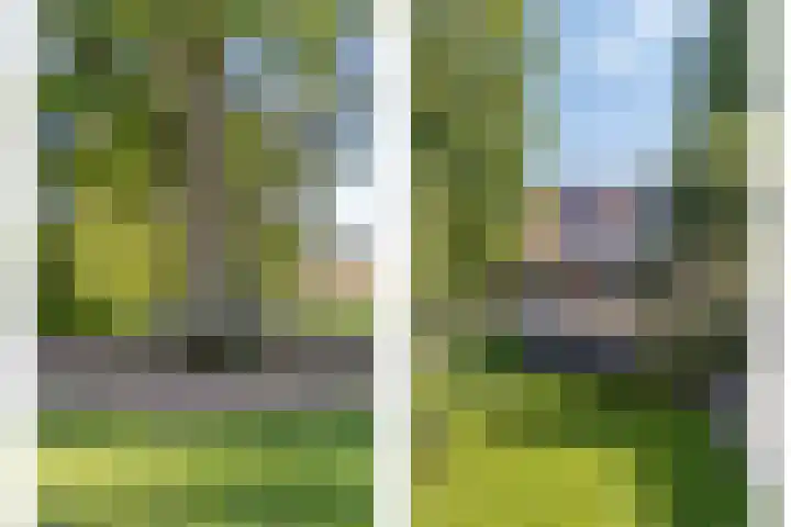 De Hoek 29 Erm thumbnail 26