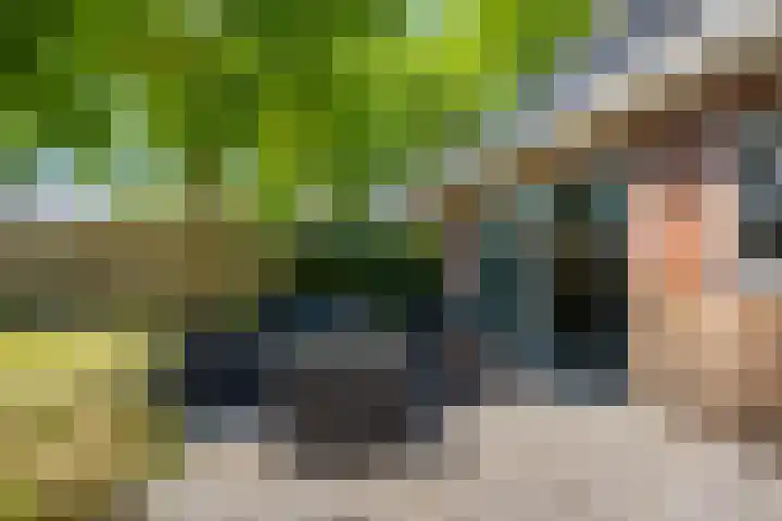 De Hoek 29 Erm thumbnail 38