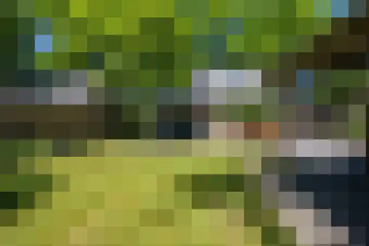 De Hoek 29 Erm thumbnail 41