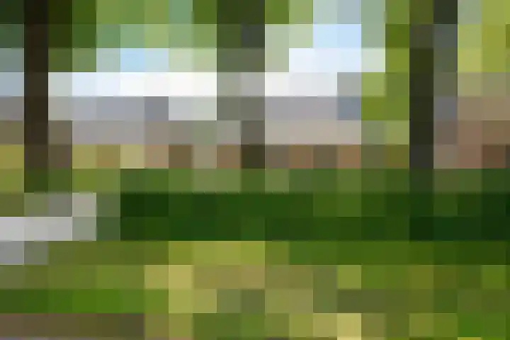 De Hoek 29 Erm thumbnail 6