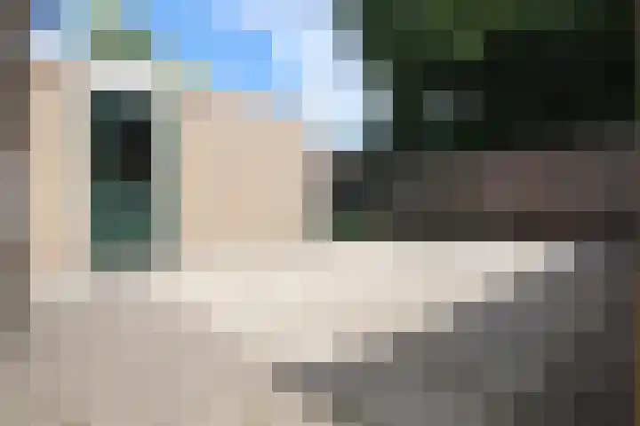 de Hoek 6 Heino thumbnail 15
