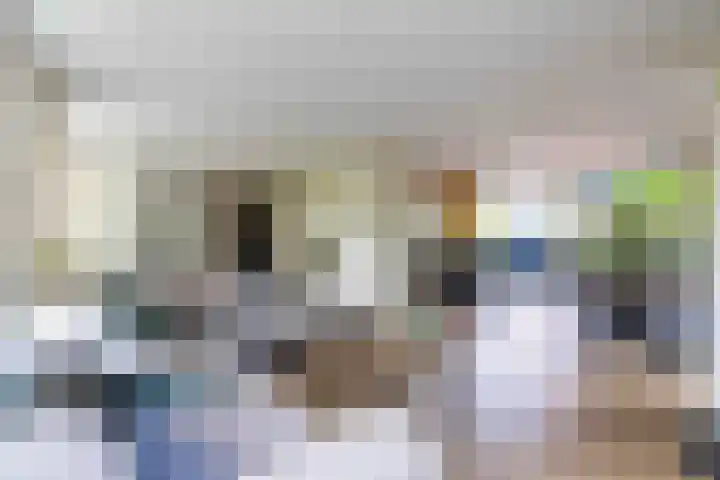 De Hoek 7 Annen thumbnail 17