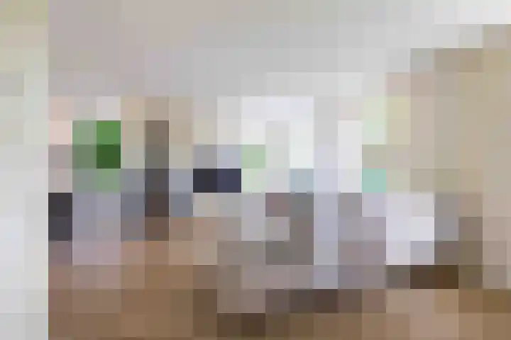 De Hoek 7 Annen thumbnail 18