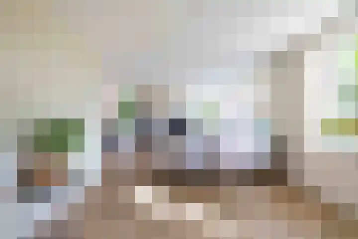 De Hoek 7 Annen thumbnail 19