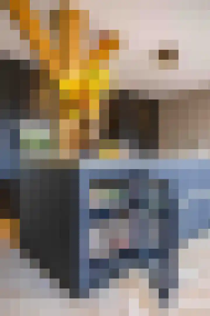De Hoek 7 Annen thumbnail 25