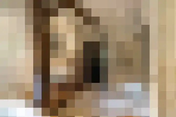 De Hoek 7 Annen thumbnail 39