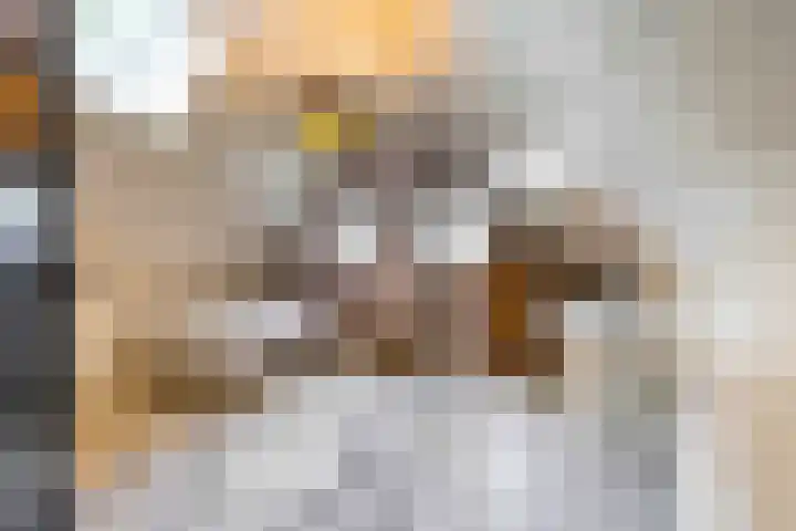 De Hoek 7 Annen thumbnail 49