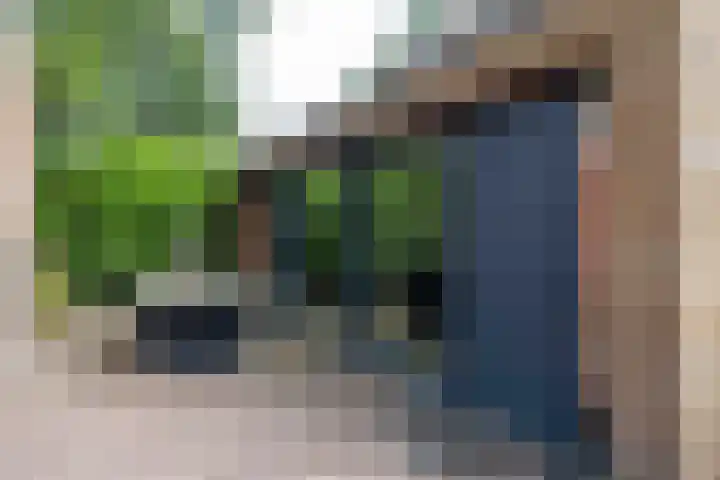 De Hoek 7 Annen thumbnail 57