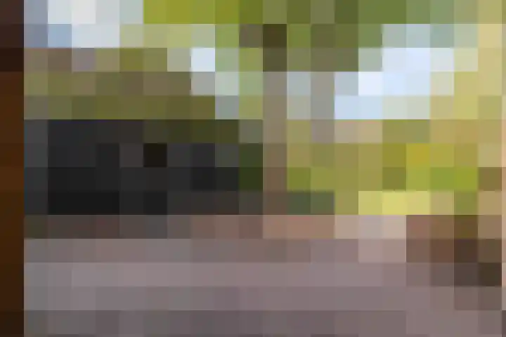 De Hoek 7 Annen thumbnail 59