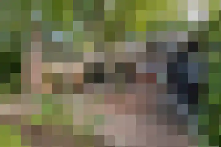De Hoek 7 Annen thumbnail 61