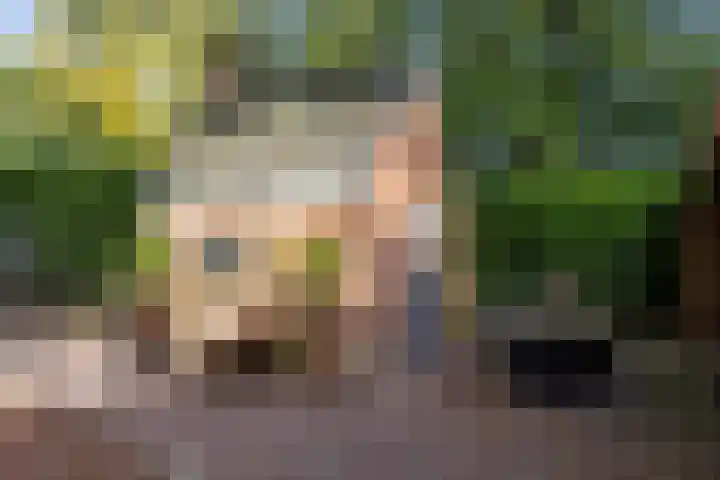 De Hoek 7 Annen thumbnail 62