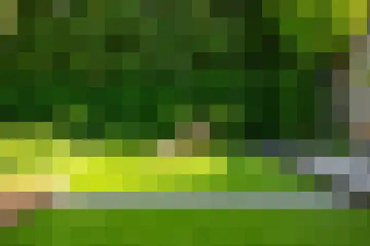 De Hoek 7 Annen thumbnail 64