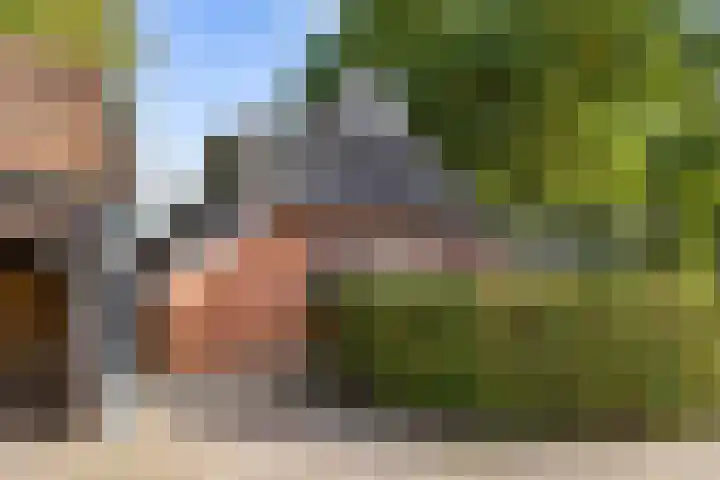 De Hoek 7 Annen thumbnail 68