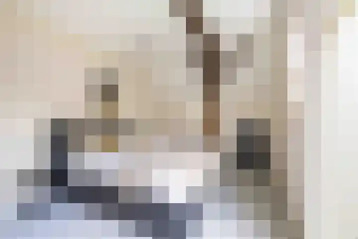 De Hoek 7 Annen thumbnail 7
