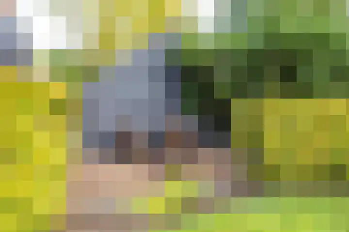 De Hoek 7 Annen thumbnail 73