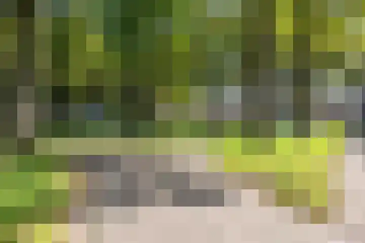 De Hoek 7 Annen thumbnail 77