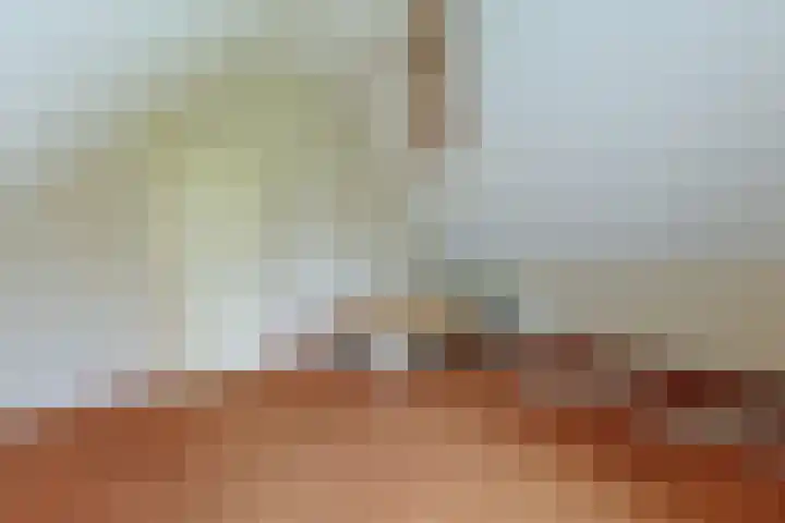 De Hoek 7 Nieuwkoop thumbnail 17