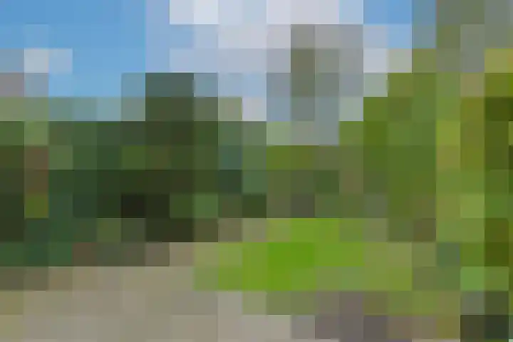 De Hoek 7 Nieuwkoop thumbnail 27