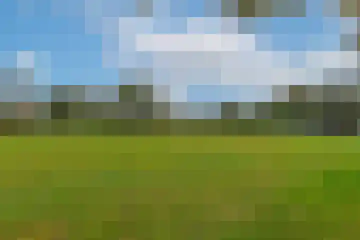 De Hoek 7 Nieuwkoop thumbnail 29