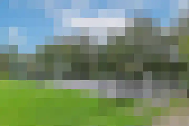 De Hoek 7 Nieuwkoop thumbnail 31