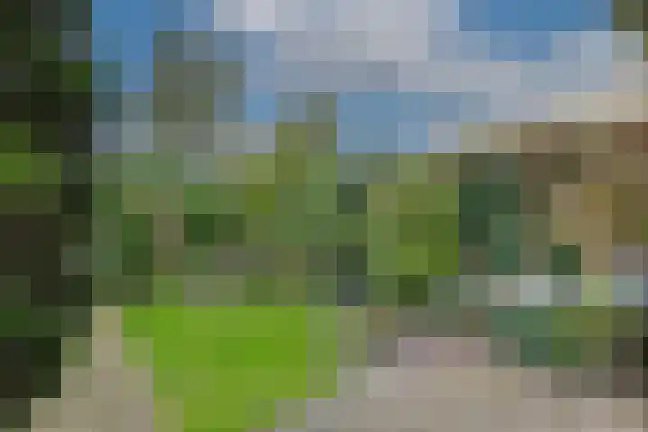 De Hoek 7 Nieuwkoop thumbnail 4