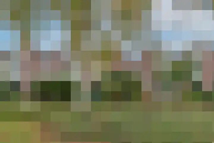 De Hoek 7 Nieuwkoop thumbnail 5