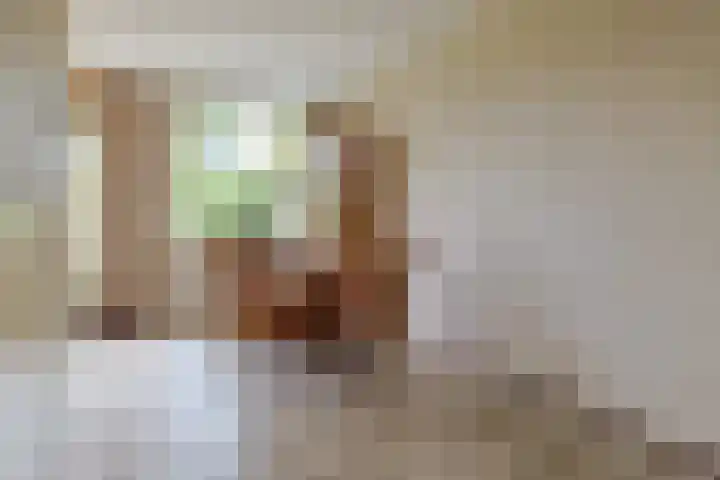 De Hoek 7 Nieuwkoop thumbnail 9